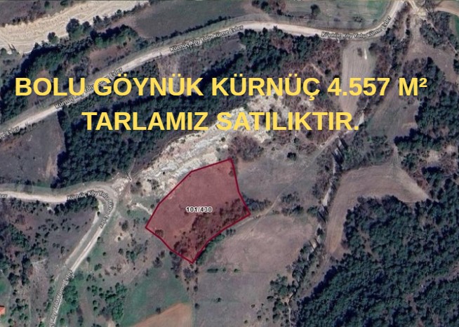 BOLU GÖYNÜK KÜRNÜÇ 4.557 M²  TARLAMIZ SATILIKTIR. - BOLU GÖYNÜK fotoğraf 6